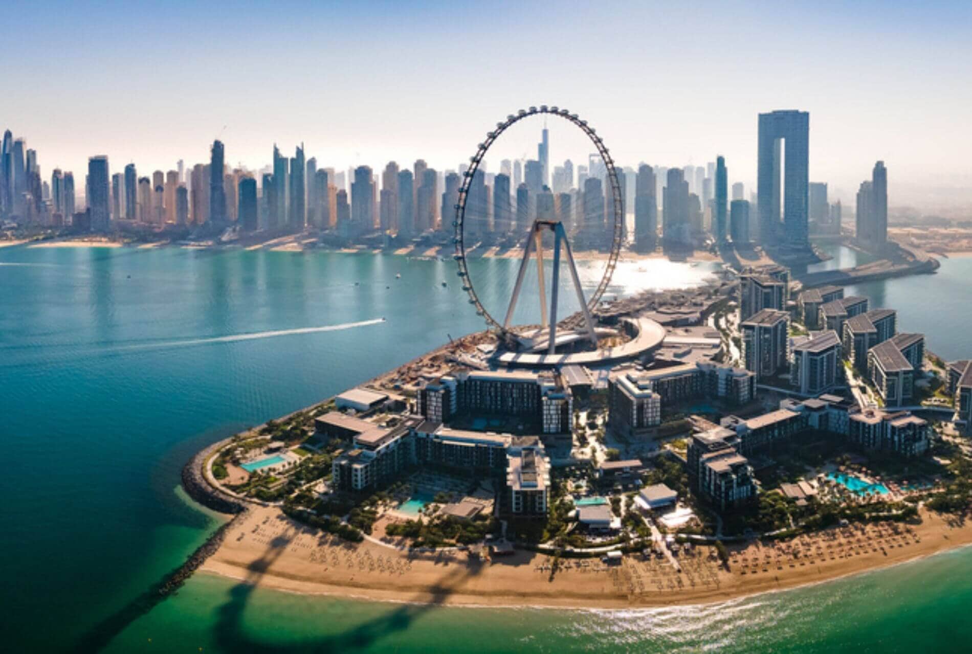 Market Insights: November 2023